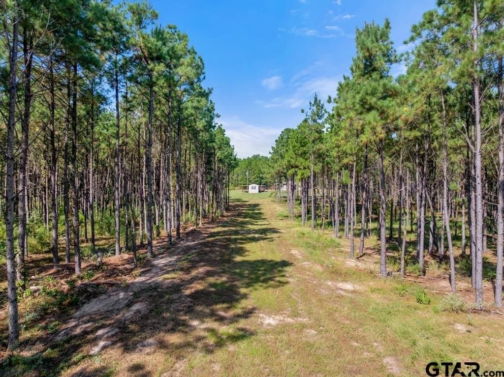 110.91 acres in Smith County - photo 6