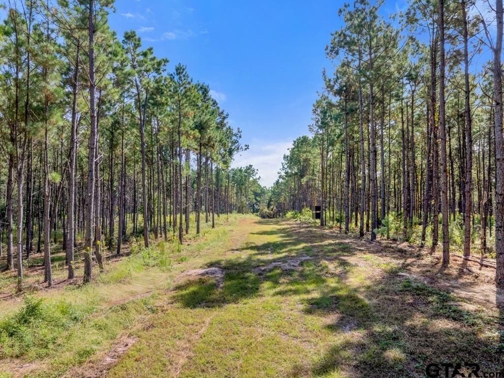 110.91 acres in Smith County - photo 5