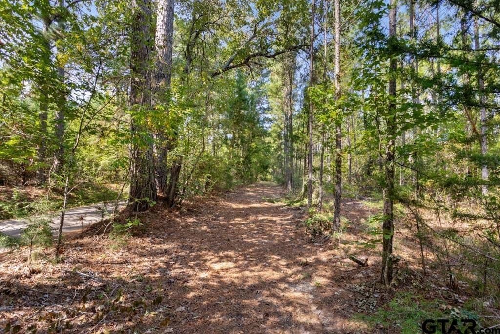 110.91 acres in Smith County - photo 29