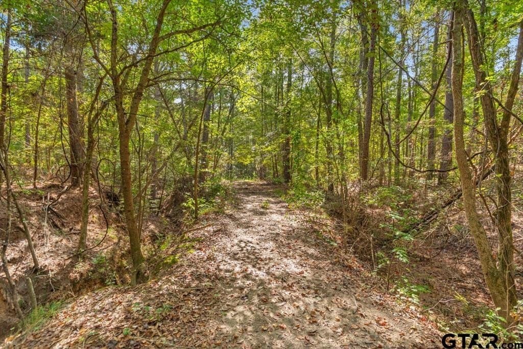 110.91 acres in Smith County - photo 22