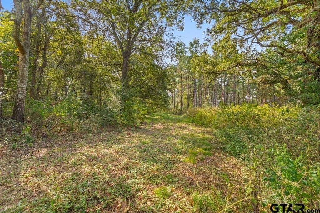110.91 acres in Smith County - photo 19