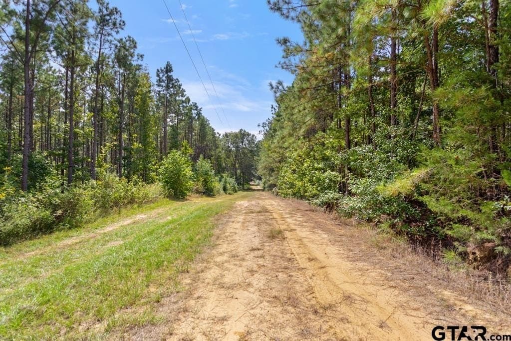 110.91 acres in Smith County - photo 34
