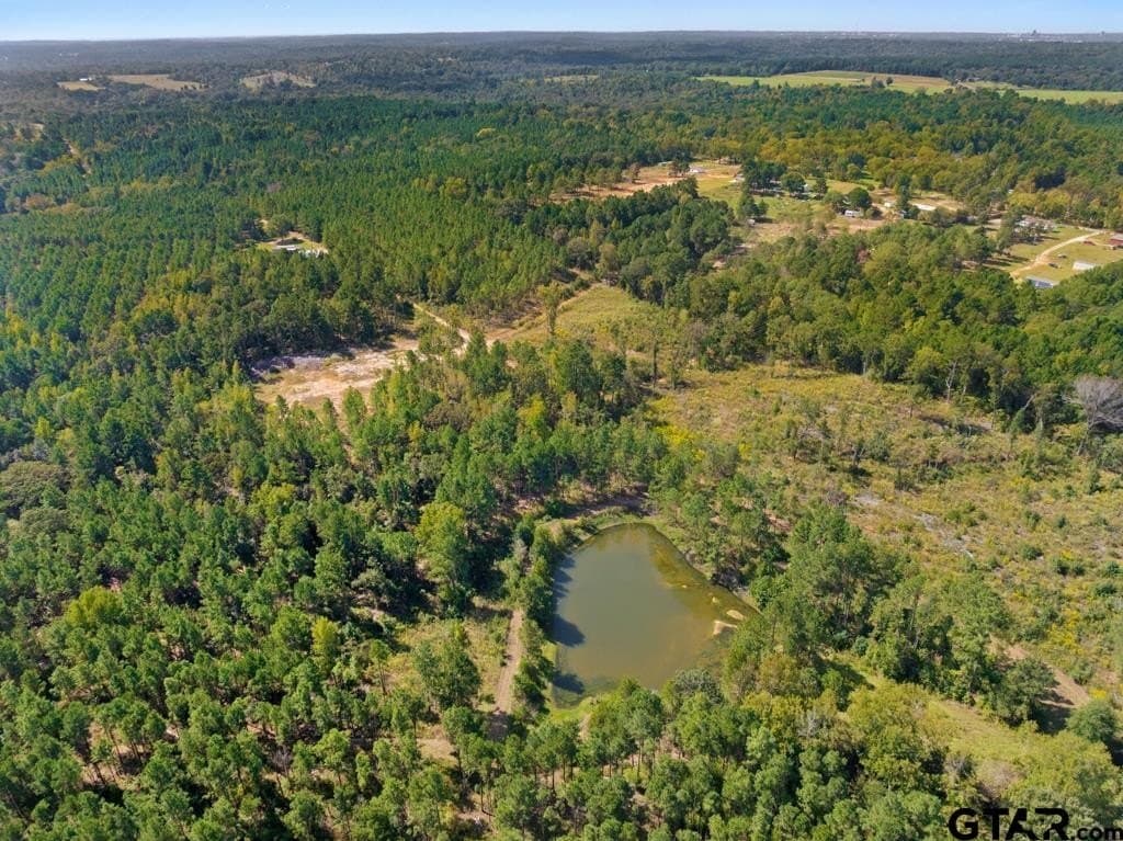 110.91 acres in Smith County - photo 10