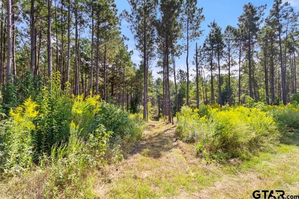 110.91 acres in Smith County - photo 28