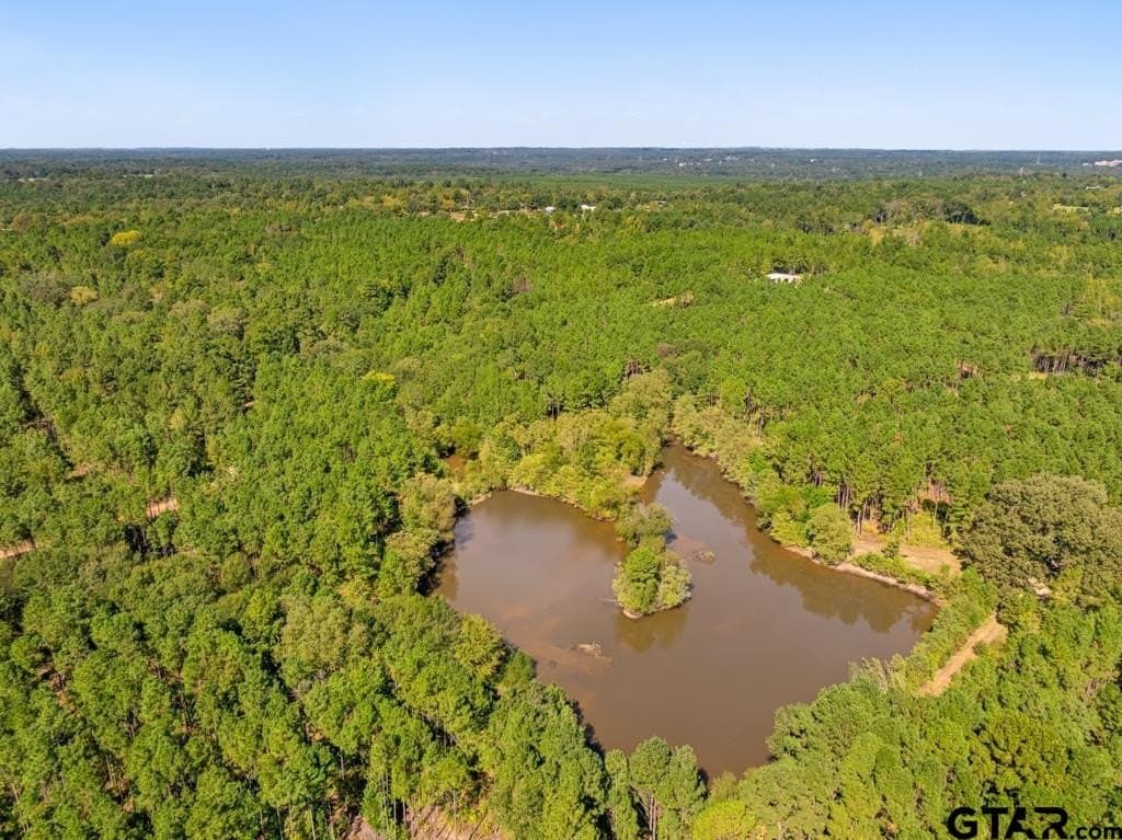 110.91 acres in Smith County - photo 11