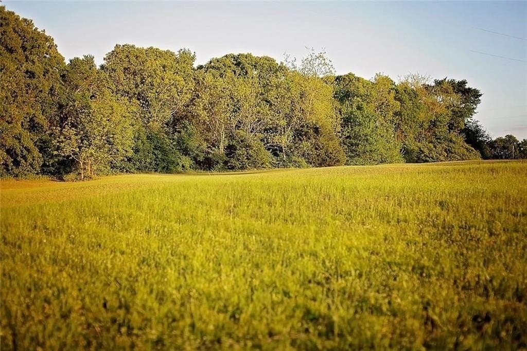 1.83 acres in Rains County - photo 4