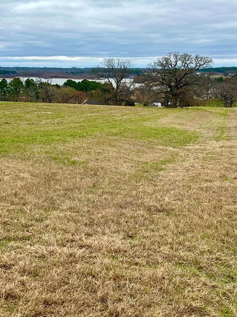 1.04 acres in Henderson County - photo 3