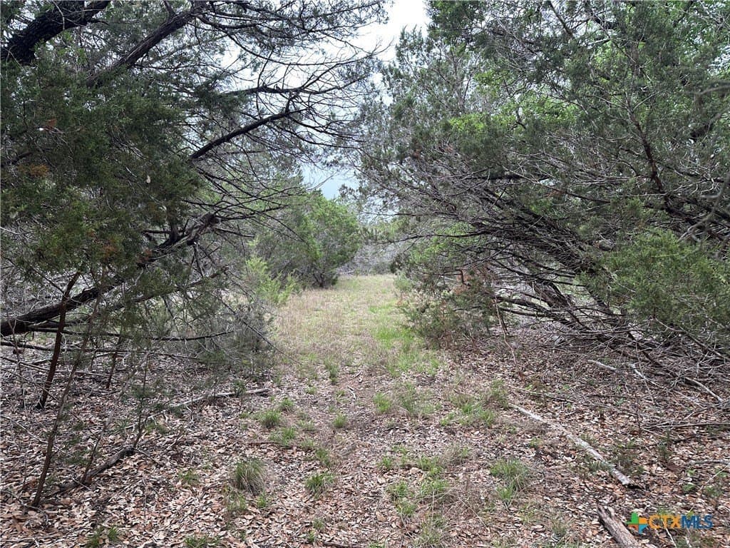 14 acres in Coryell County - photo 21