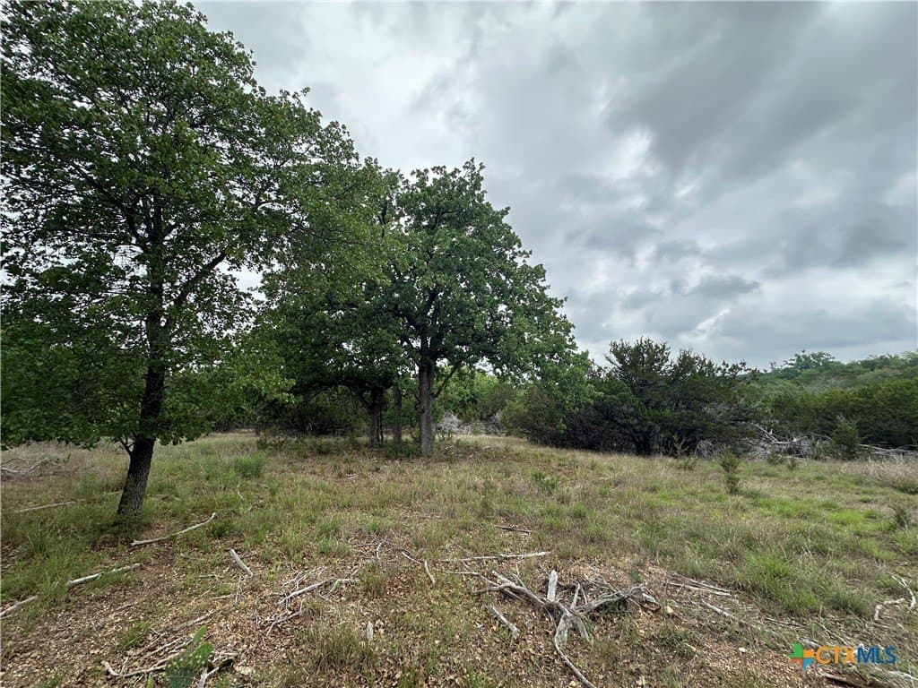 14 acres in Coryell County - photo 6
