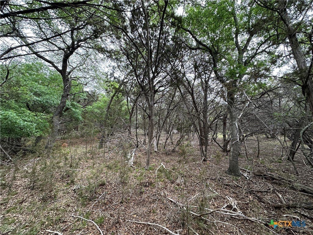 14 acres in Coryell County - photo 22