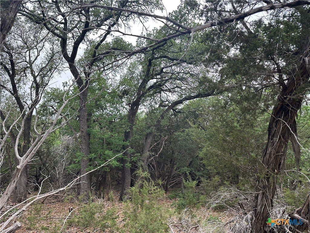 14 acres in Coryell County - photo 19