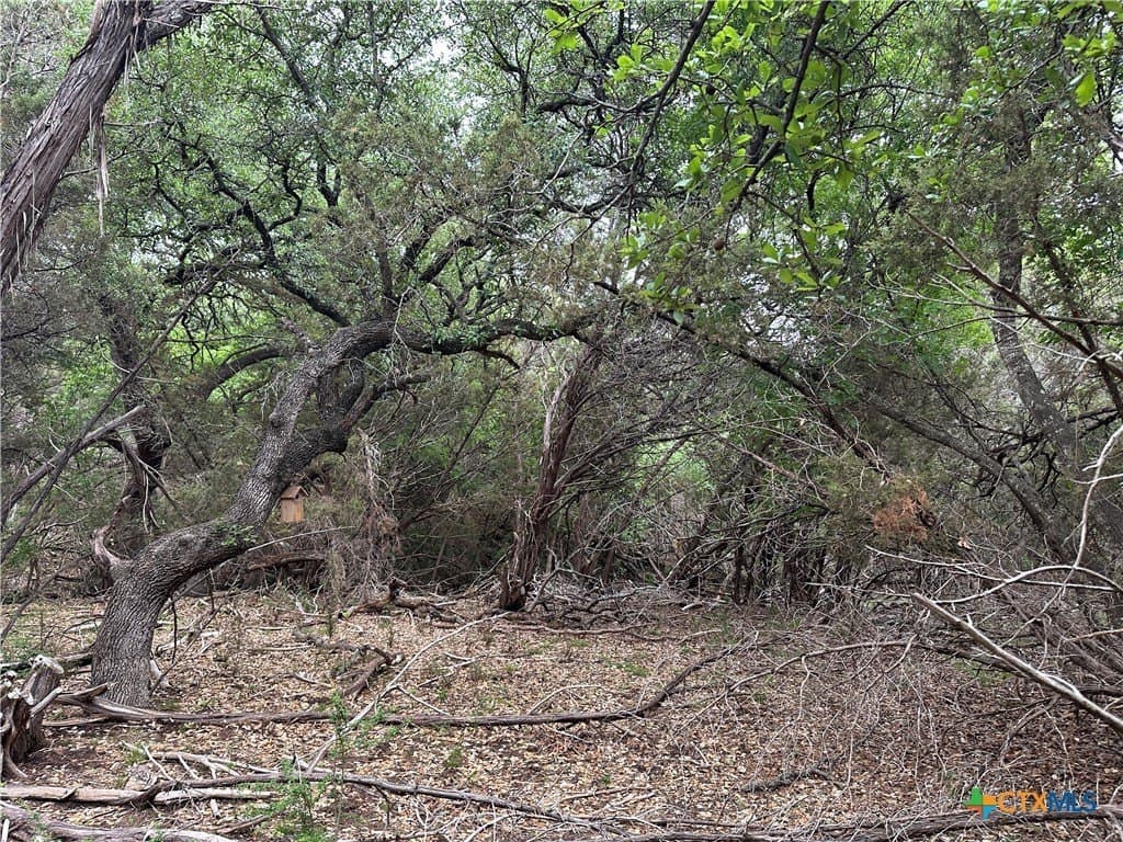 14 acres in Coryell County - photo 20