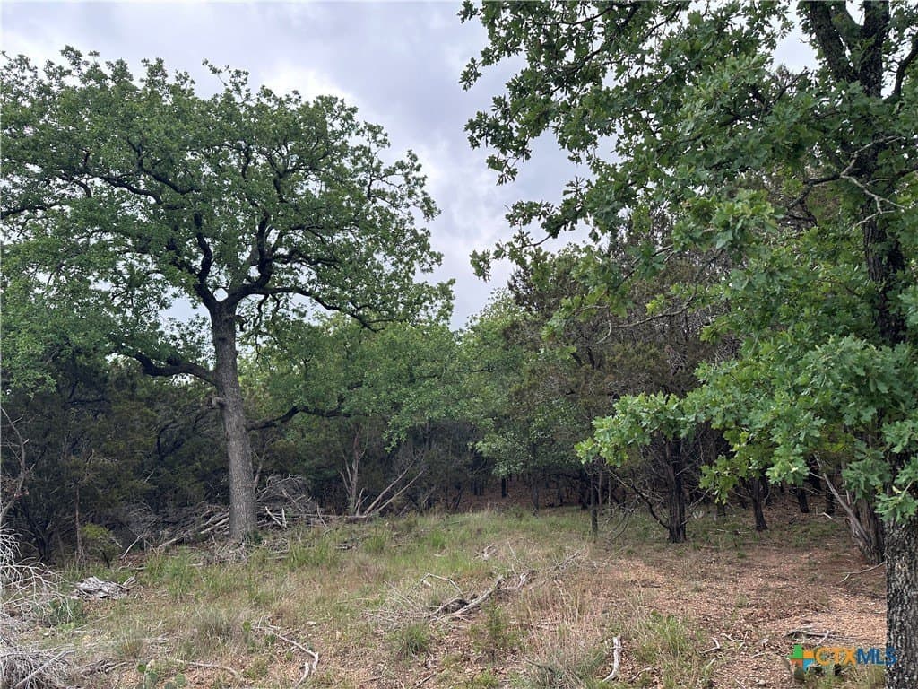 14 acres in Coryell County - photo 4