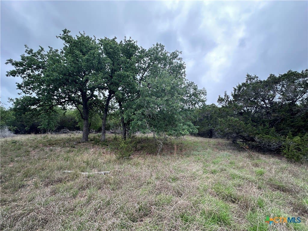 14 acres in Coryell County - photo 3