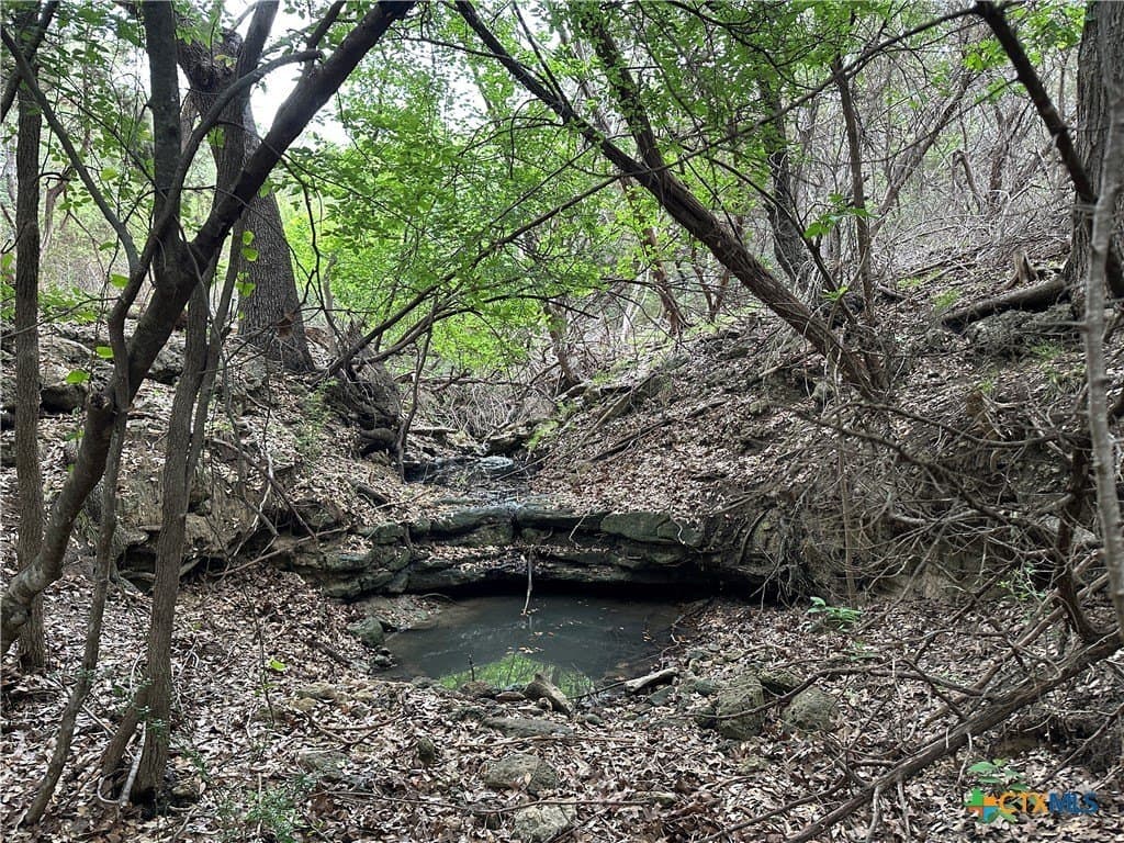 14 acres in Coryell County - photo 7