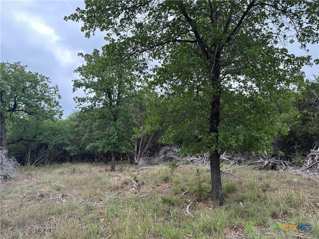 14 acres in Coryell County - photo 5