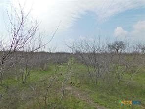 40 acres in Calhoun County - photo 8