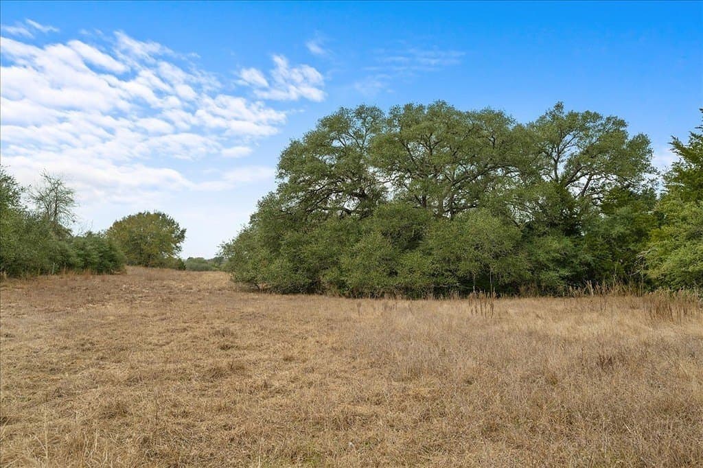 79.76 acres in Lavaca County - photo 6