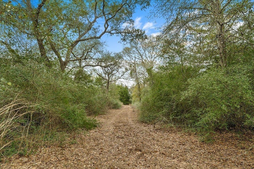 79.76 acres in Lavaca County - photo 5