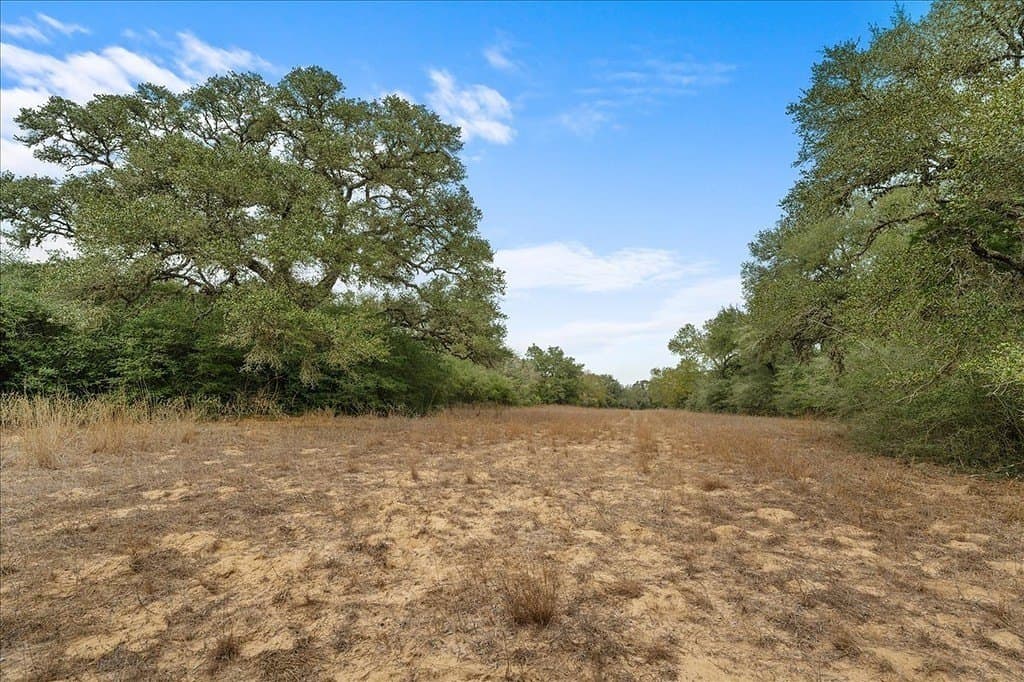 79.76 acres in Lavaca County - photo 4