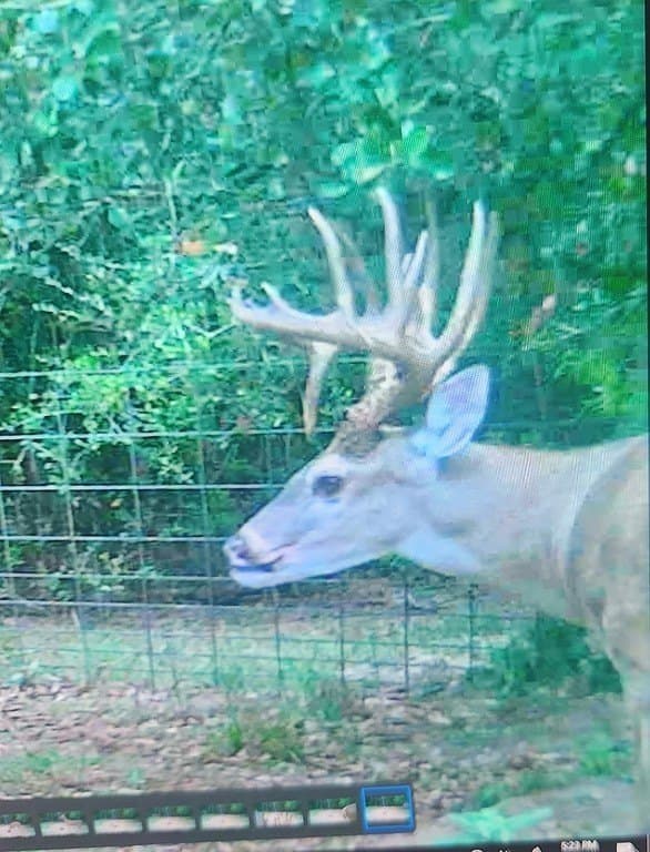 79.76 acres in Lavaca County - photo 27