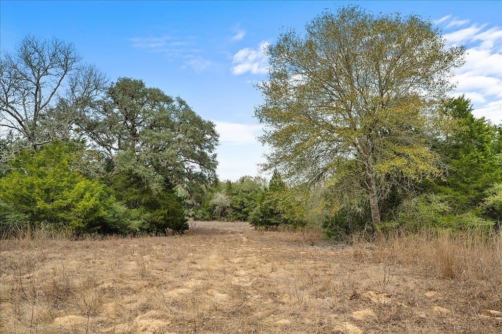 79.76 acres in Lavaca County - photo 24