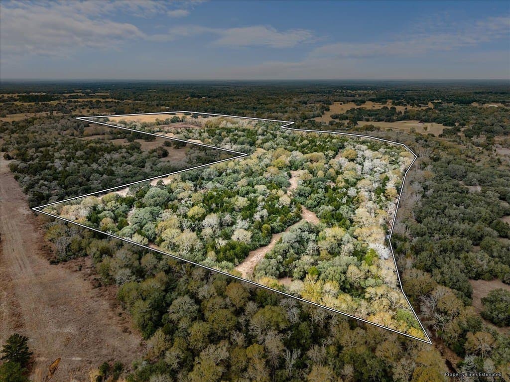 79.76 acres in Lavaca County - photo 12