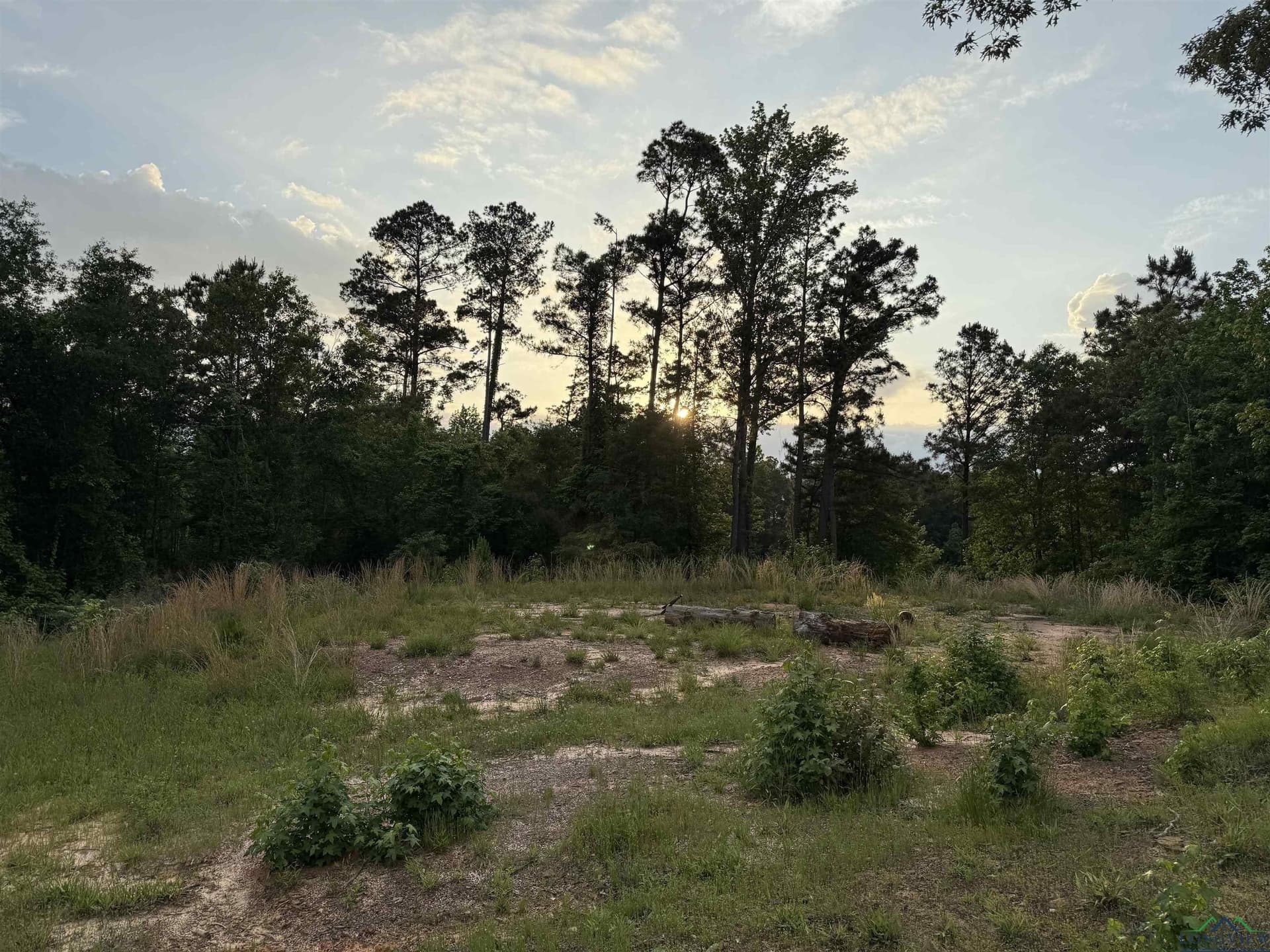 2 acres in Texas County - photo 3