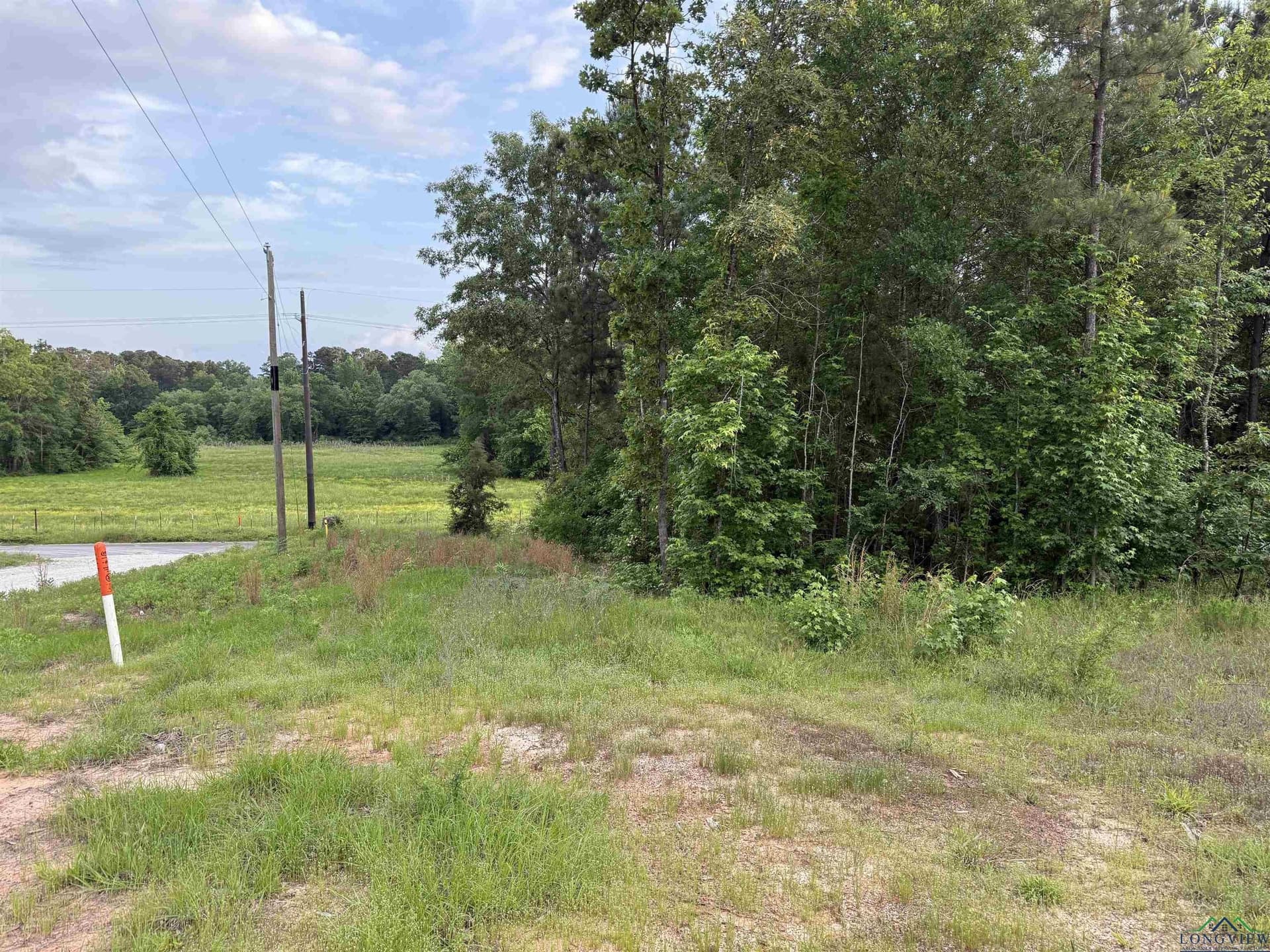 2 acres in Texas County - photo 4