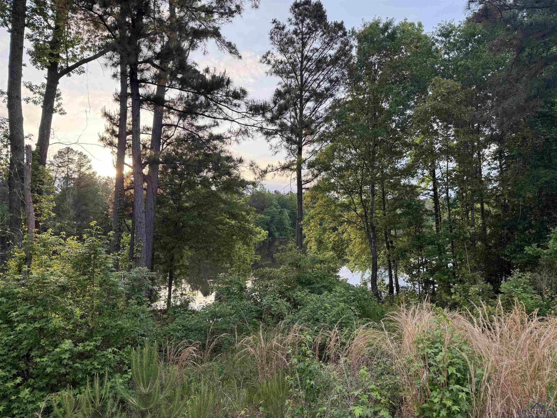 2 acres in Texas County - photo 5