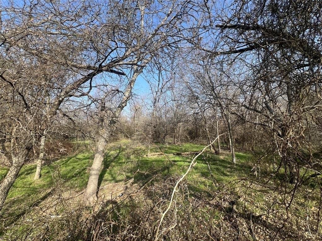 9.8 acres in McLennan County - photo 4