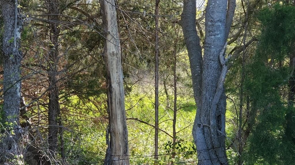 9.8 acres in McLennan County - photo 3