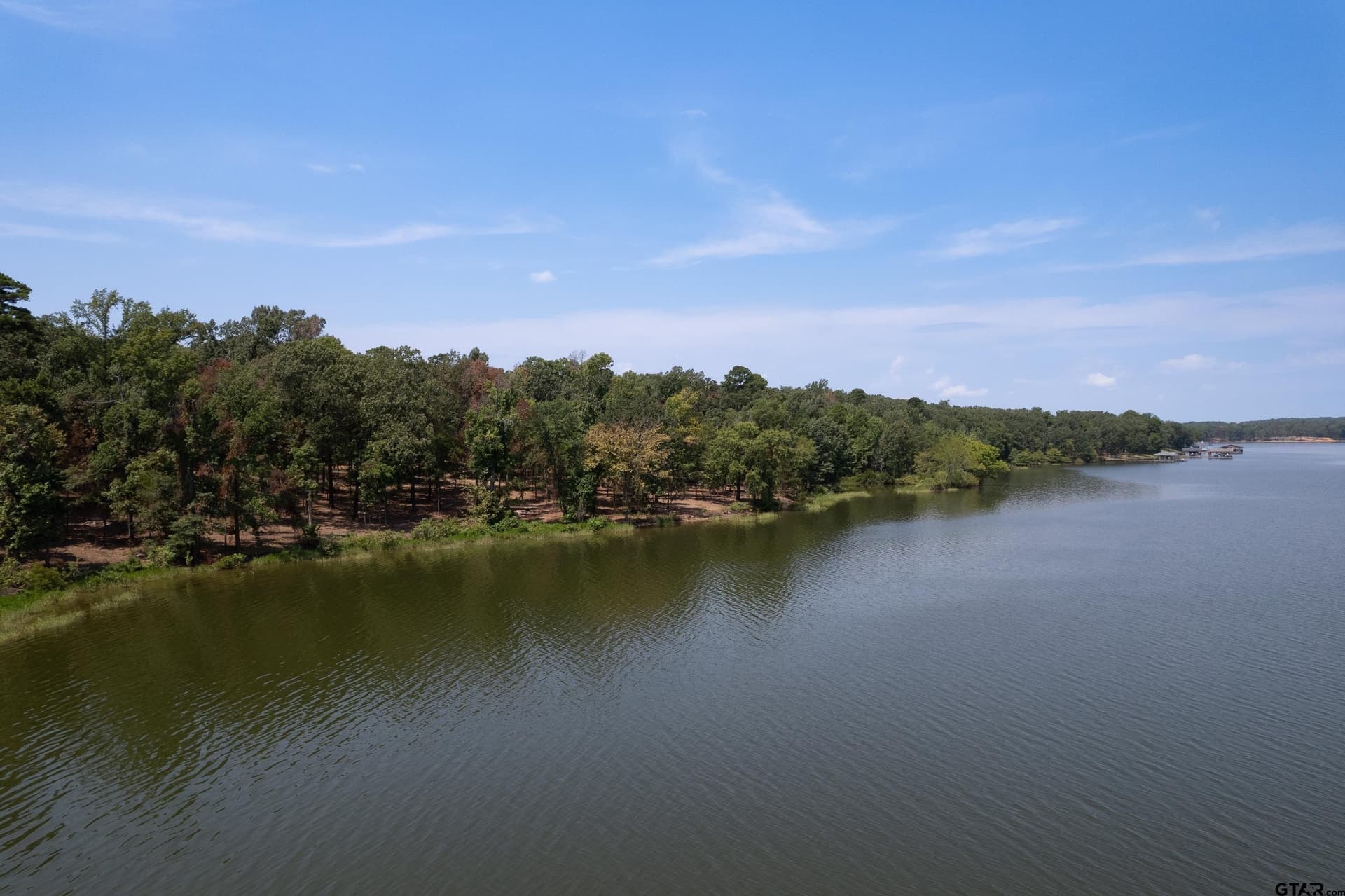 1.55 acres in Camp County - photo 9