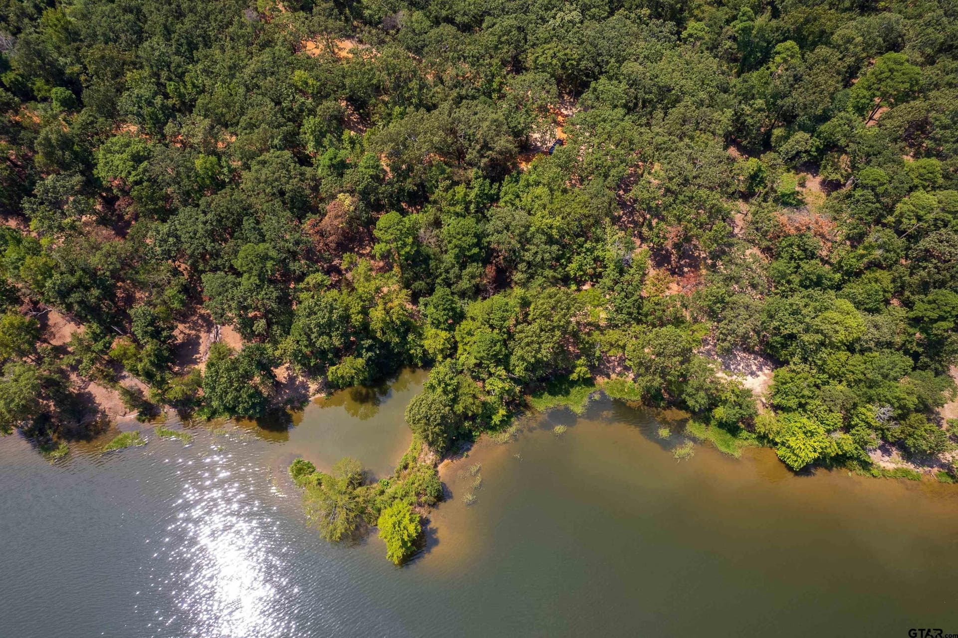 1.55 acres in Camp County - photo 7