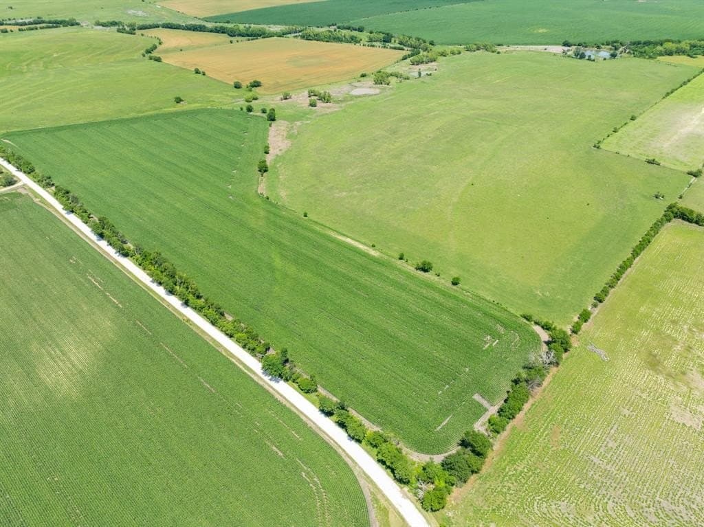 10 acres in Falls County - photo 15