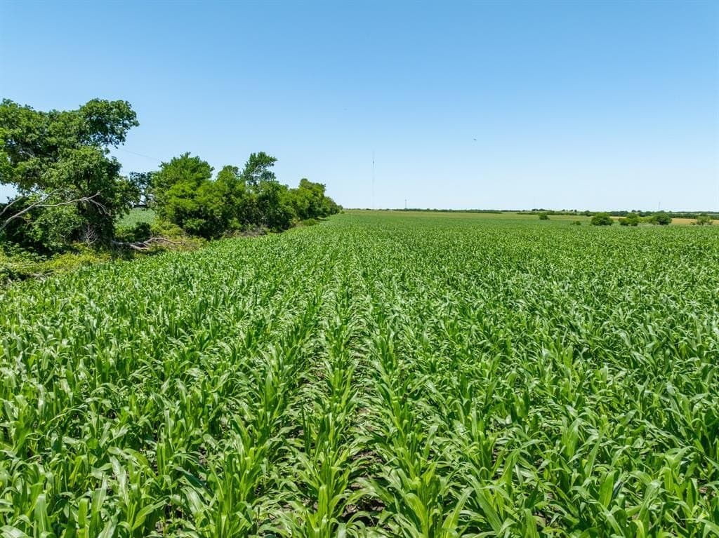 10 acres in Falls County - photo 16