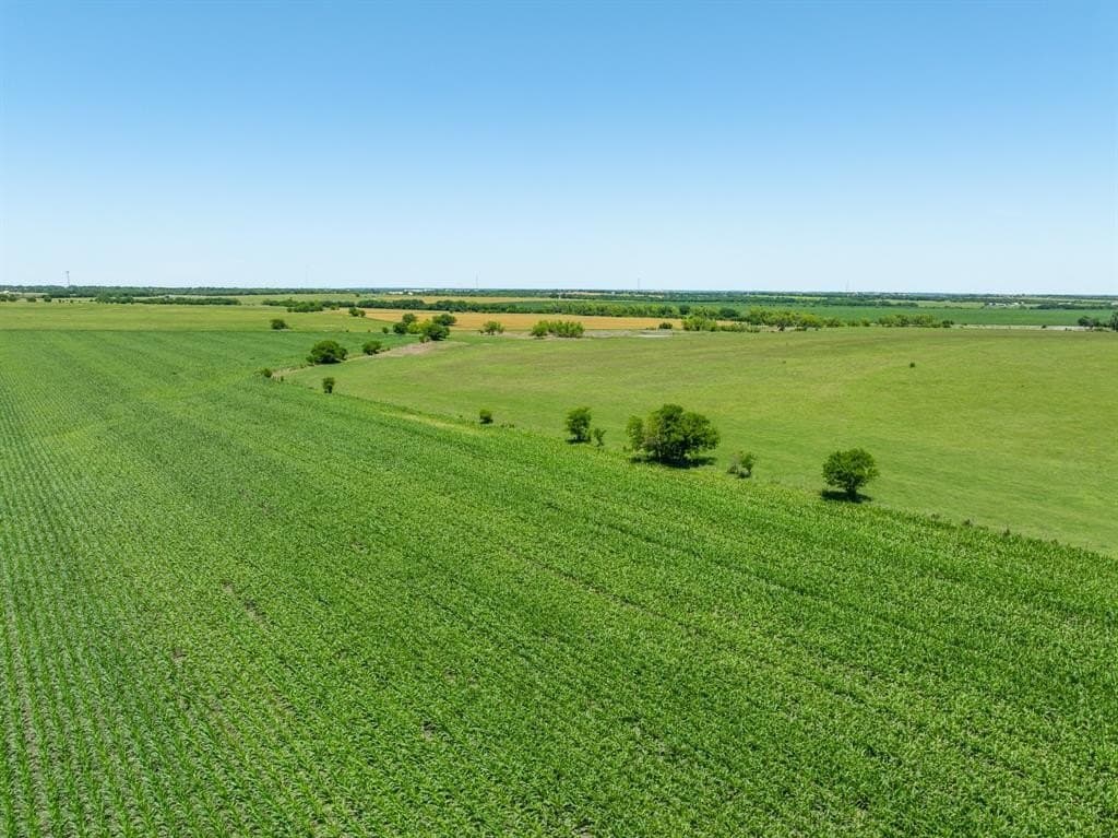 10 acres in Falls County - photo 7