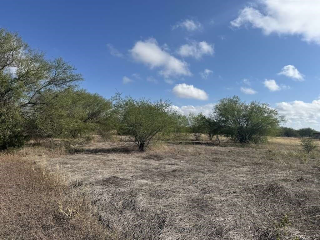 4.3 acres in San Patricio County - photo 2