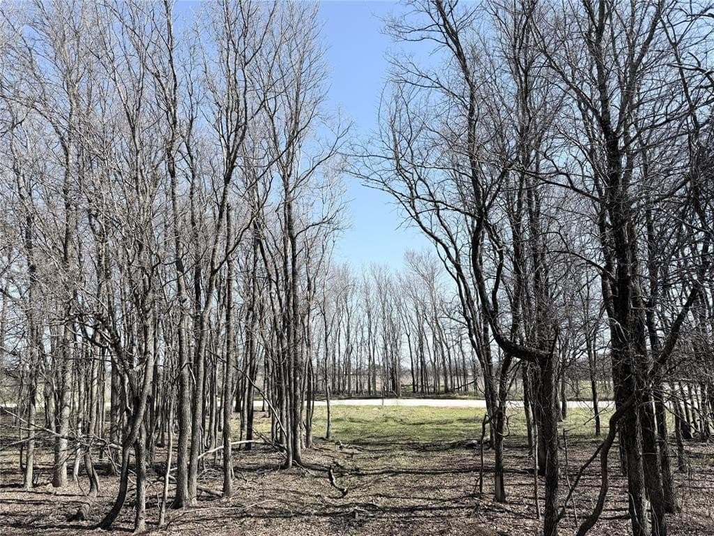 5 acres in Hill County - photo 8