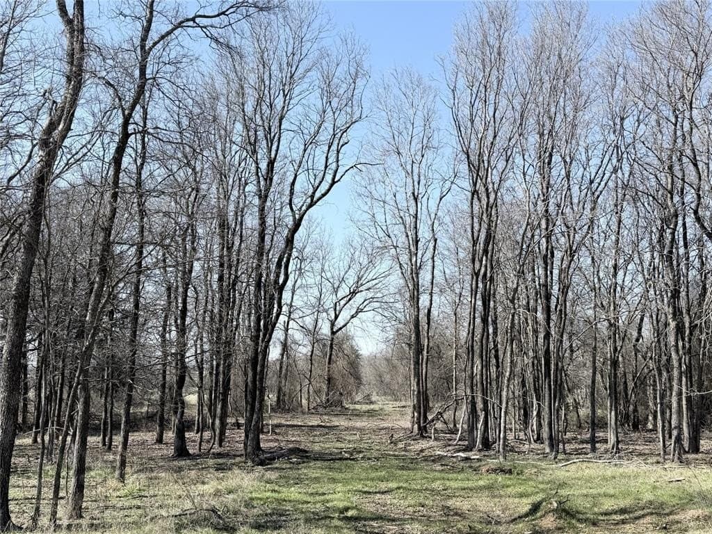 5 acres in Hill County - photo 2