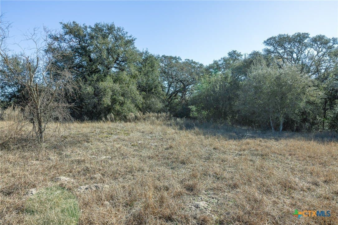 17.5 acres in Victoria County - photo 3