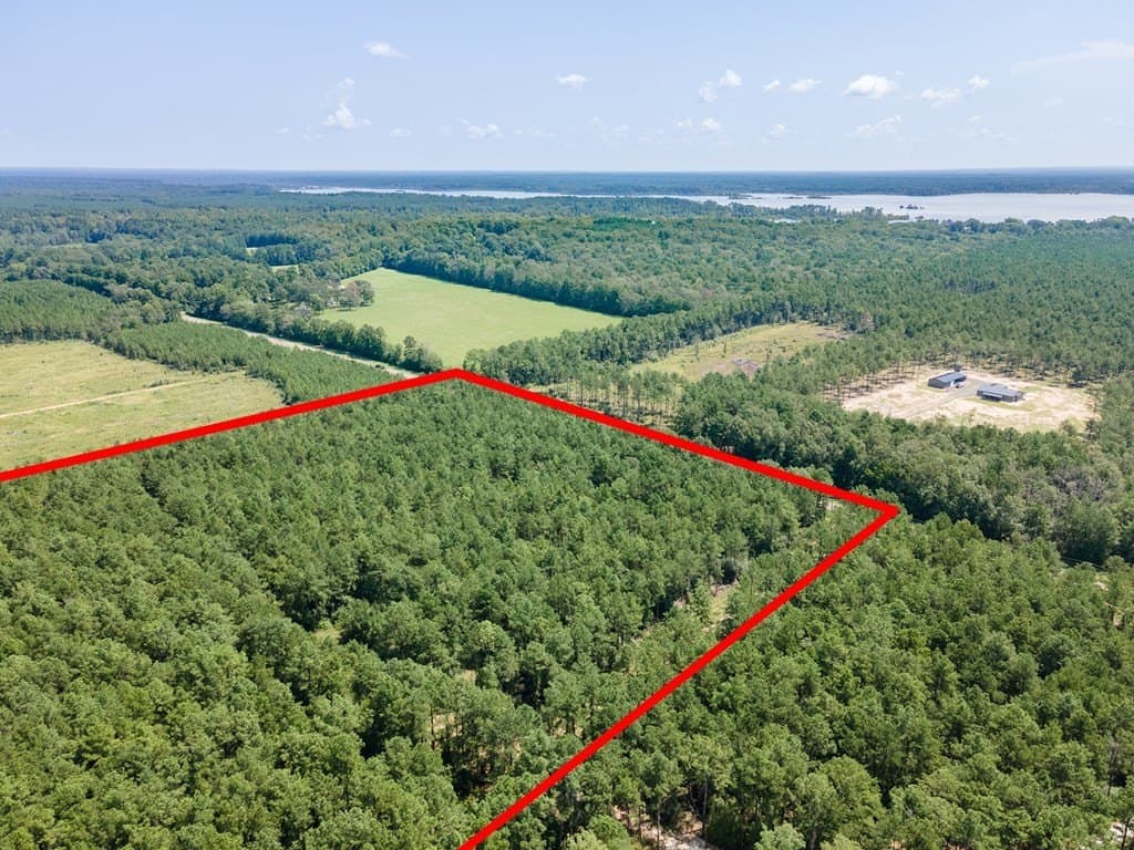 38 acres in Texas County - photo 8
