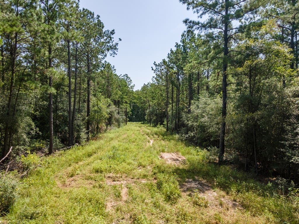 38 acres in Texas County - photo 5