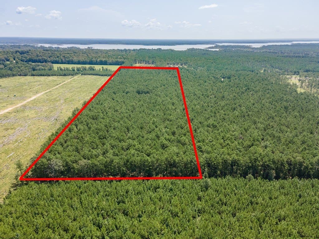38 acres in Texas County - photo 3
