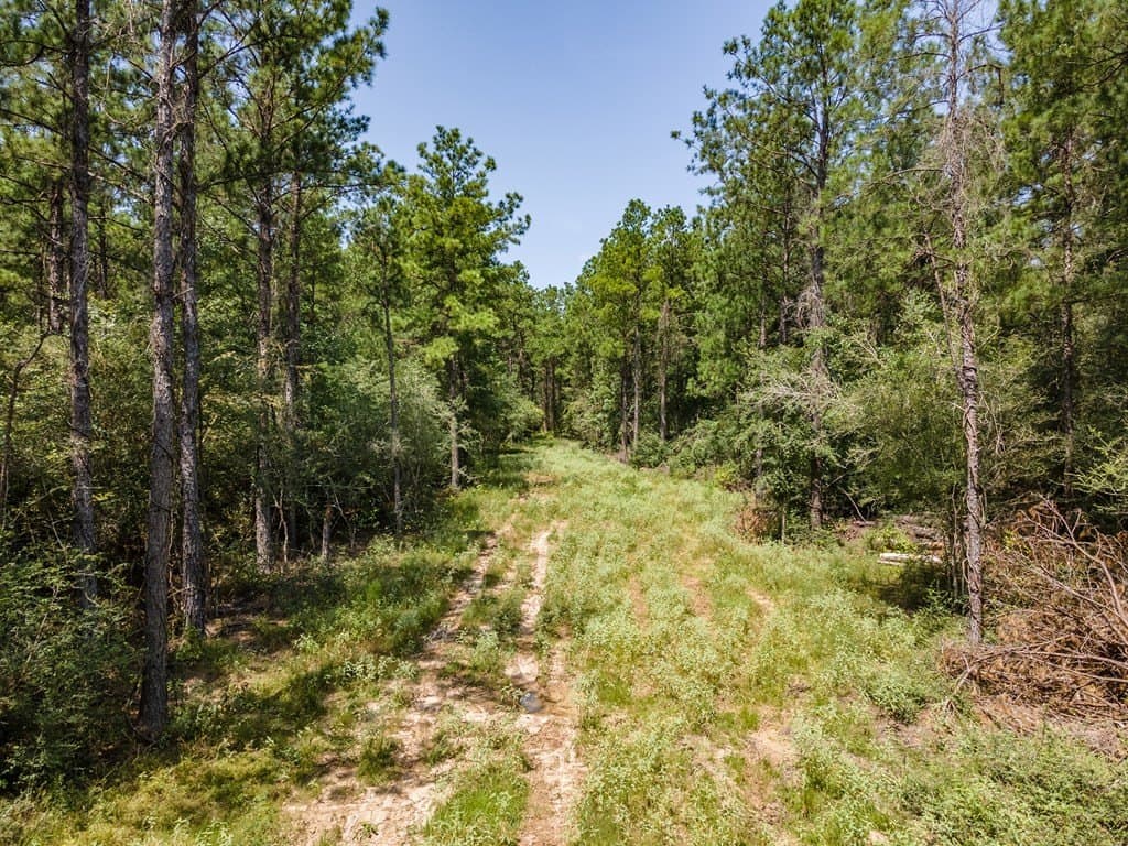 38 acres in Texas County - photo 9