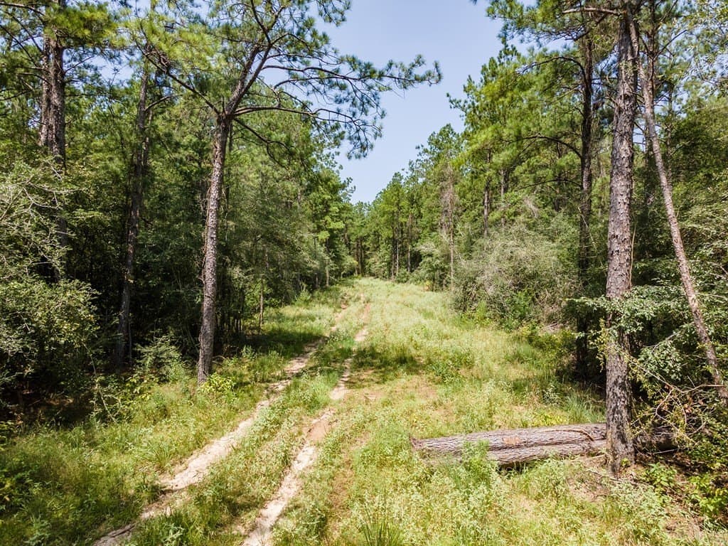 38 acres in Texas County - photo 15