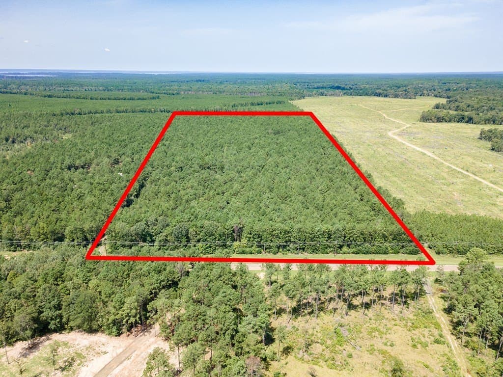 38 acres in Texas County - photo 6