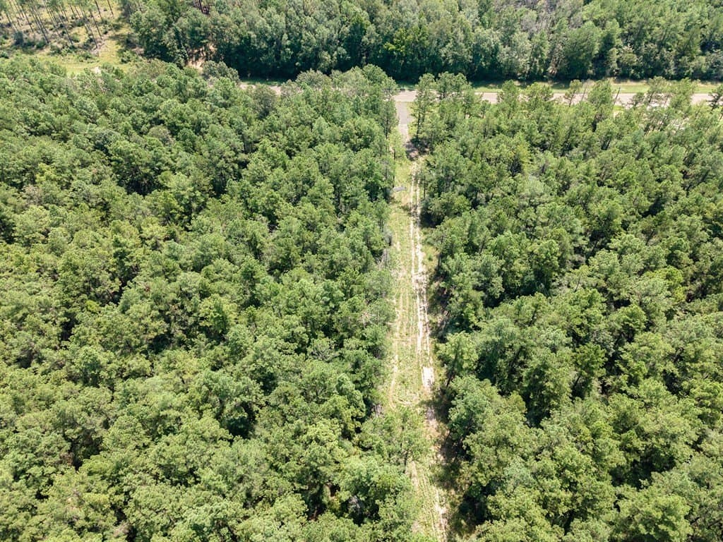 38 acres in Texas County - photo 11