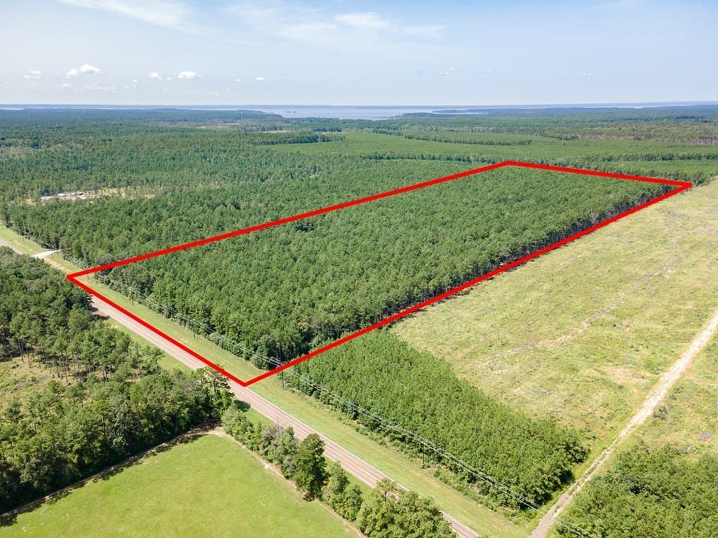 38 acres in Texas County - photo 4