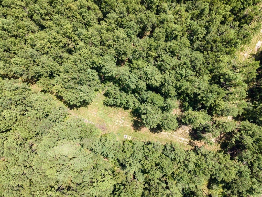 38 acres in Texas County - photo 10